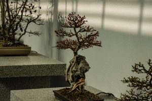 Photo Tree of Life Sculpture Floor Lamp